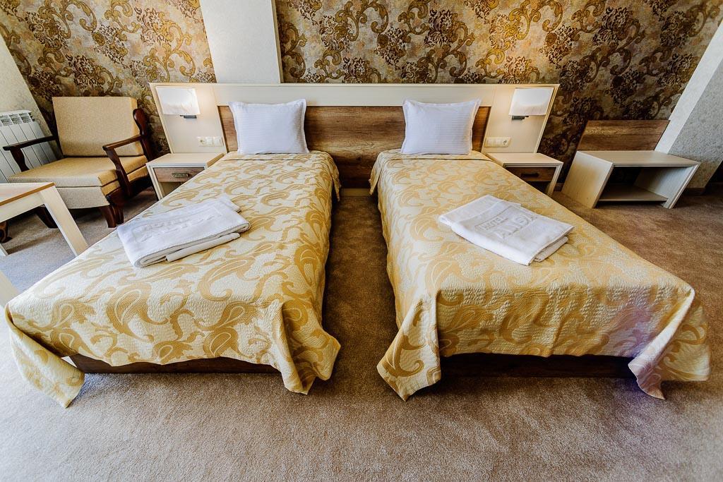 Hotel Alisa Pavel Banja Exteriér fotografie